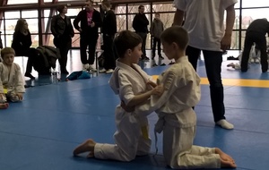 Rencontre jeunes judo mini-poussins Laneuveville