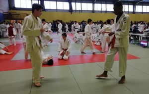 Coupe minimes 54 de judo 12/01/2020