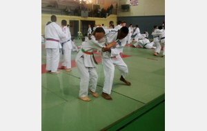 Championnat régional de judo minime 02/02/2020